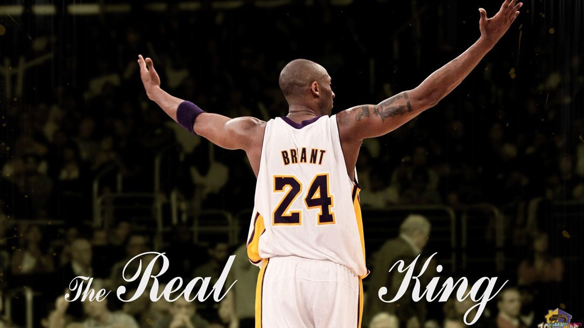 美洲杯星光璀璨：明星演绎绿茵传奇！，lv美洲杯